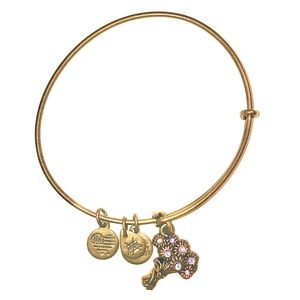 Alex and Ani Bracelet: I pick you
